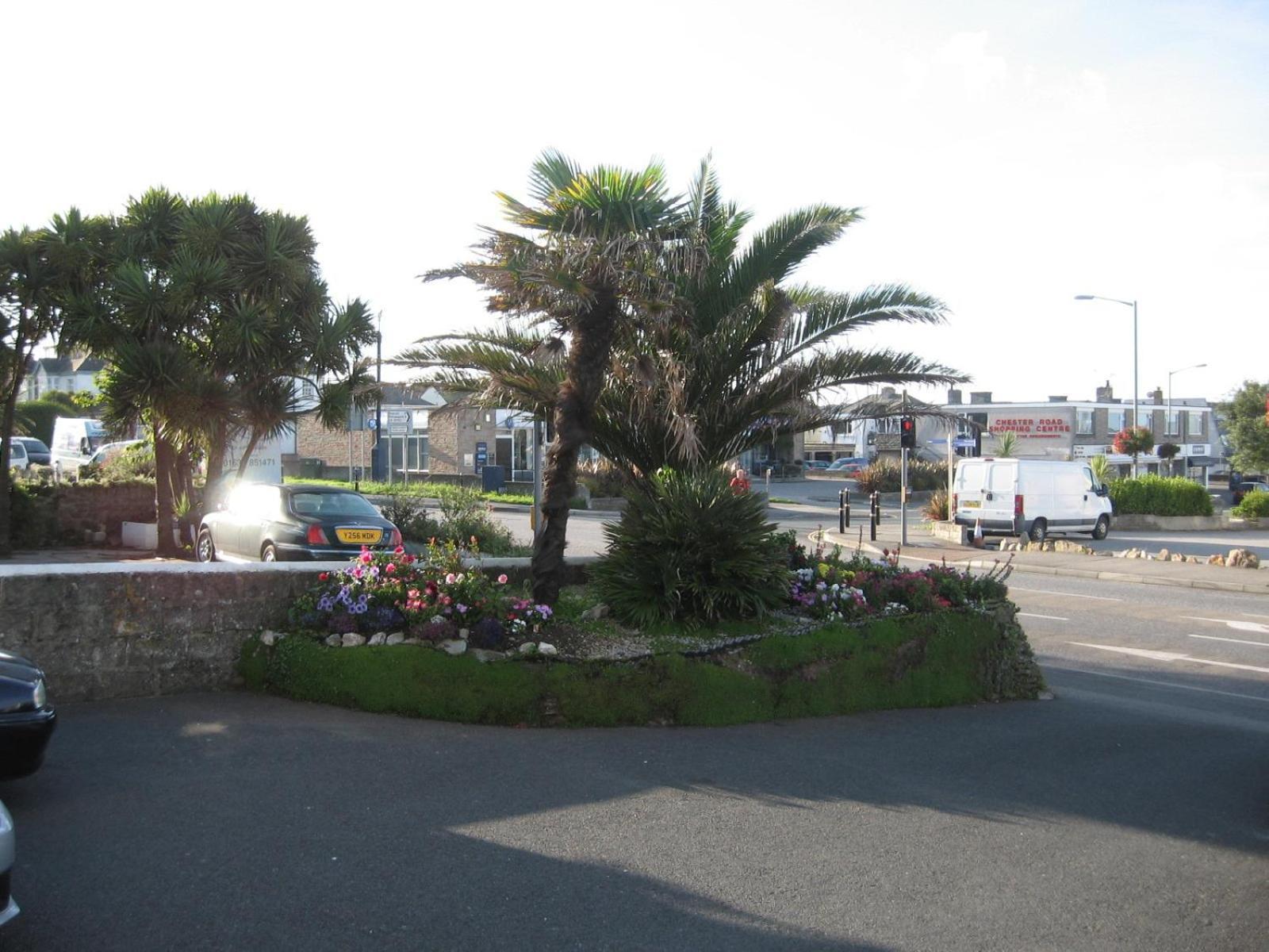 Jasmine House New Quay Exterior foto