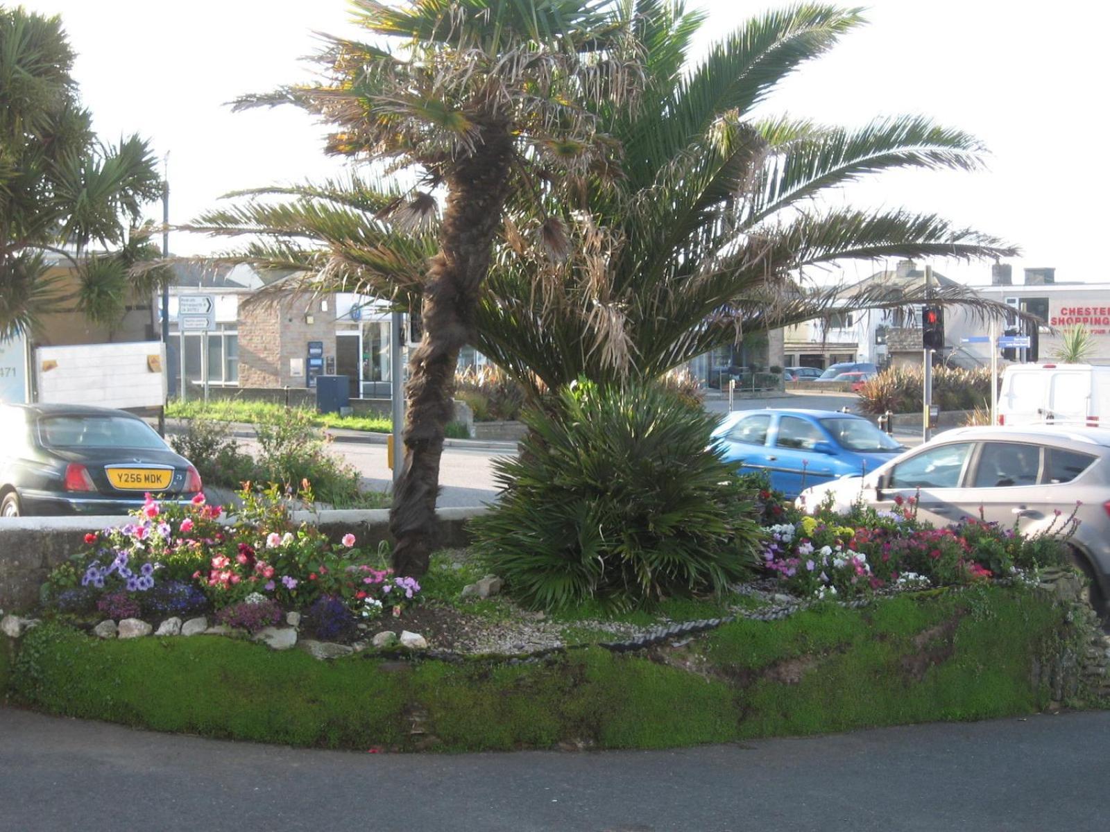 Jasmine House New Quay Exterior foto