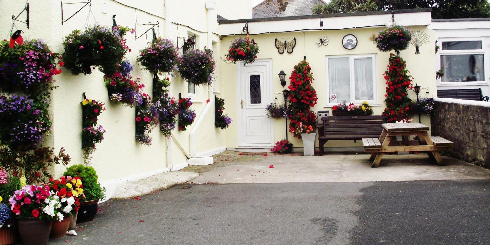 Jasmine House New Quay Exterior foto