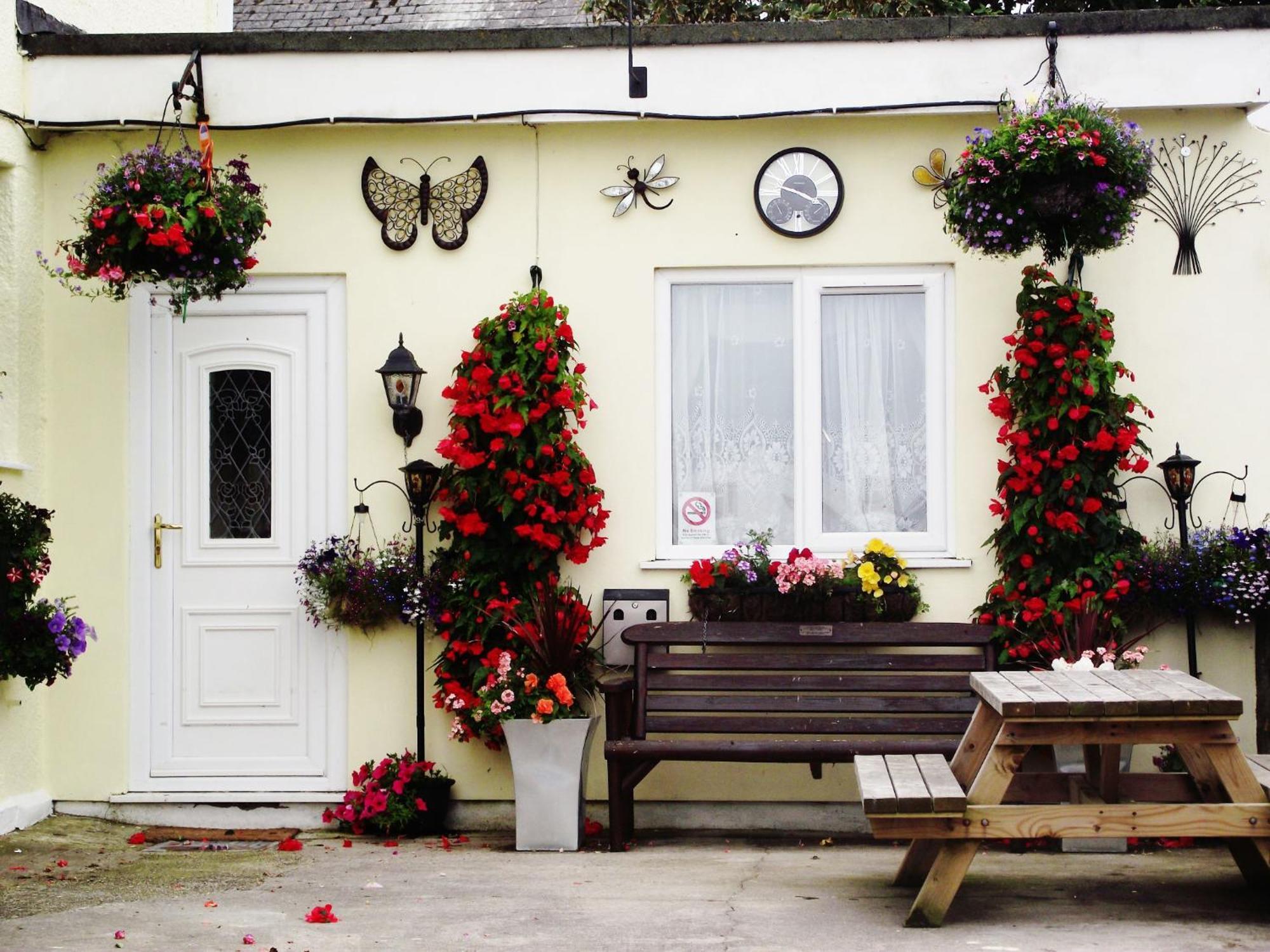 Jasmine House New Quay Exterior foto